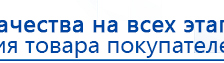 ДЭНАС-ПКМ (Детский доктор, 24 пр.) купить в Ногинске, Аппараты Дэнас купить в Ногинске, Официальный сайт Дэнас kupit-denas.ru